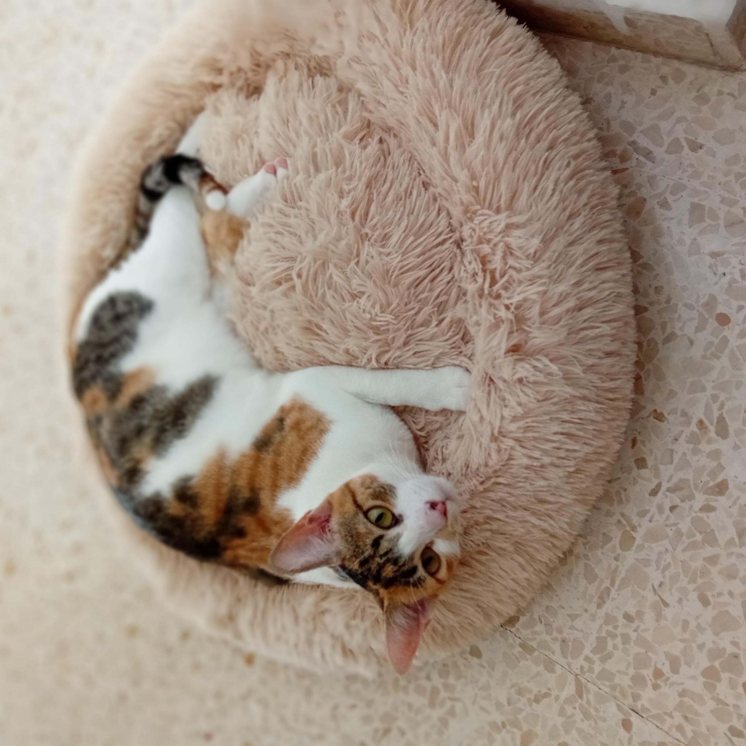 Foto de Rafaela navarro Maldonado