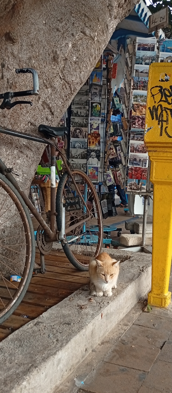 Foto de pedro marmoles
