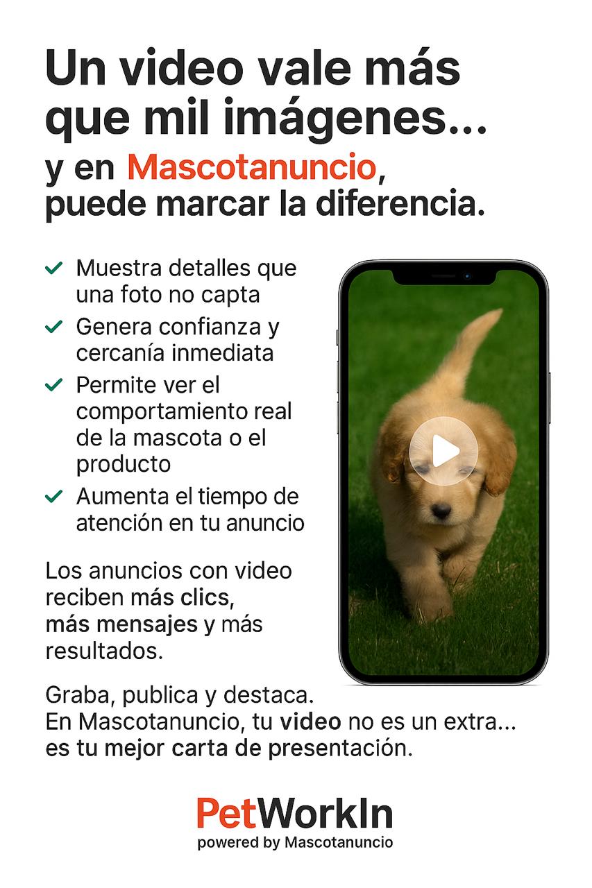 Foto de Mascotanuncio información