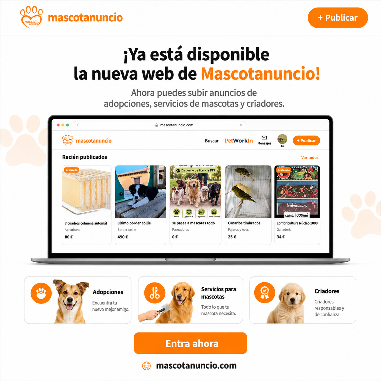 Foto de Mascotanuncio información