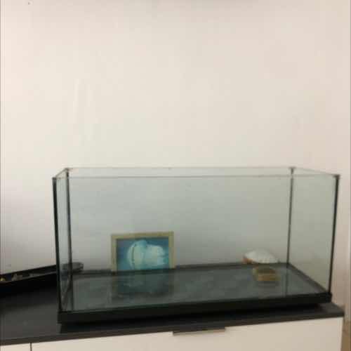 Acuario 80 Litros
