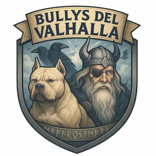 Bullys del Valhalla Kennels