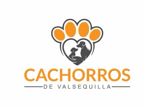 cachorros de valsequilla .