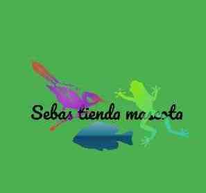 sebas tienda mascota